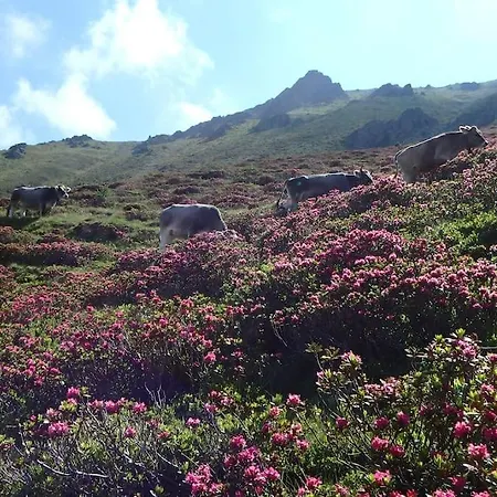 Siegi's Ferienhuette Appartamento *