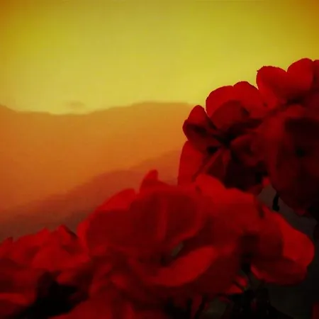 Siegi's Ferienhuette Апартаменты