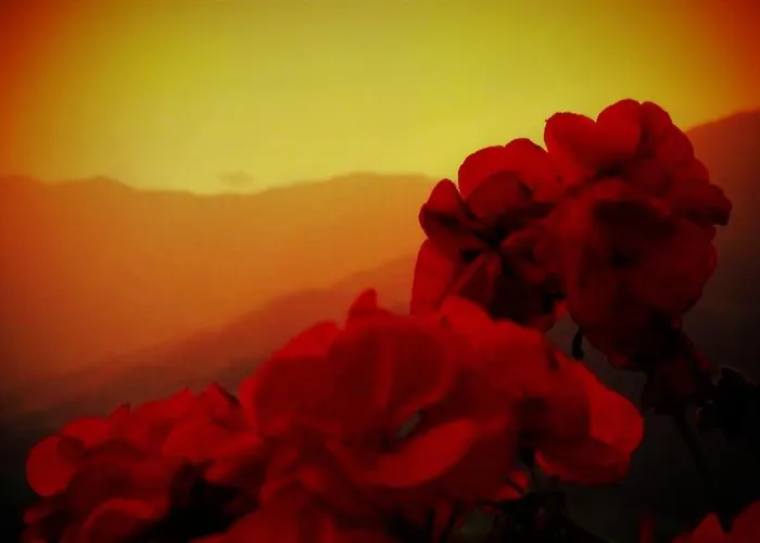 Siegi's Ferienhuette Appartamento