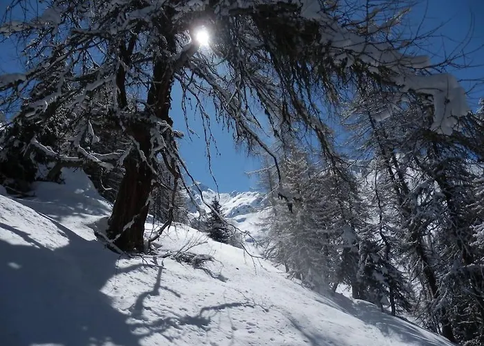 Siegi's Ferienhuette * Fendels