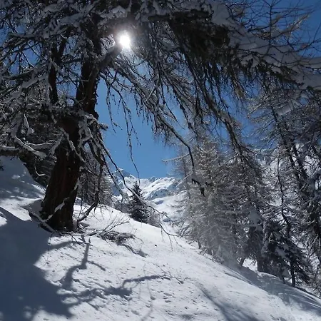 Siegi's Ferienhuette * フェンデルス