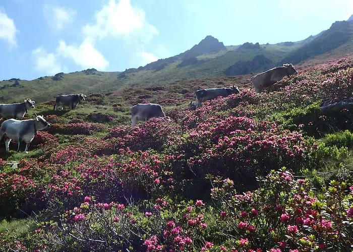 Siegi's Ferienhuette Apartmán *